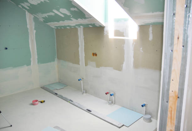 Best Mold Documentation for Insurance Claims  in Lexington, NC