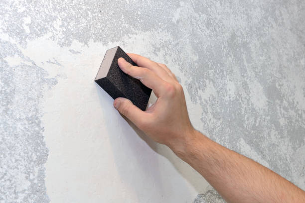 Best Mold Remediation for Healthcare Facilities  in Lexington, NC