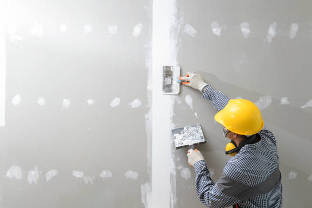 Best Airborne Mold Testing  in Lexington, NC