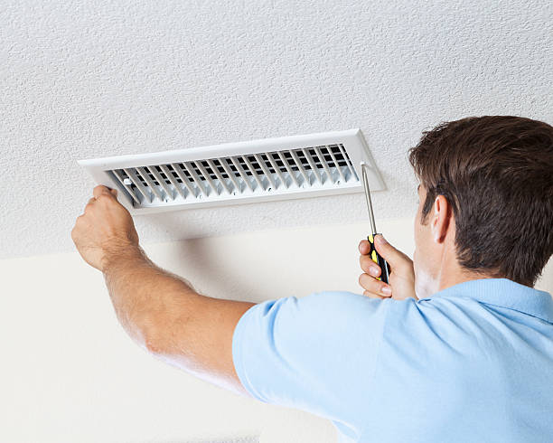 Lexington, NC Mold Removal Company